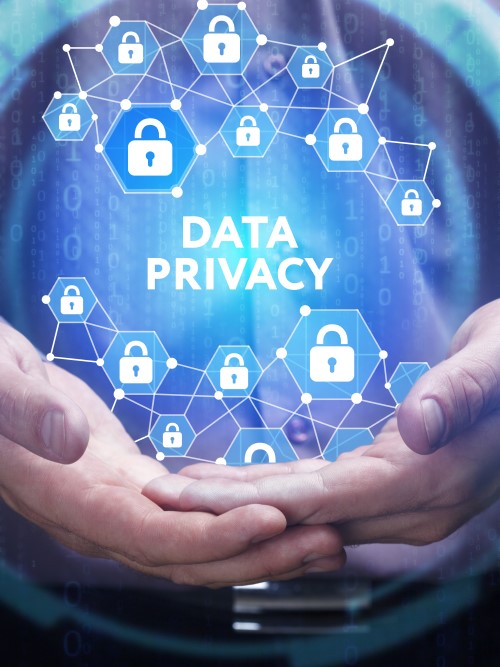 Custom data privacy products