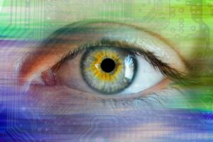 a digital eye tracking online users